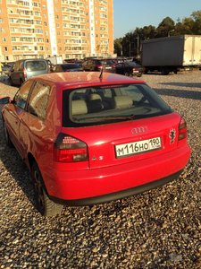 IMG_7748.jpg