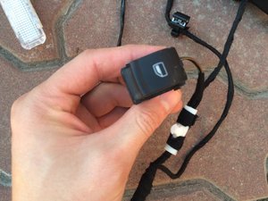 IMG_3866.jpg