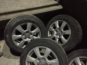 IMG_4794.jpg