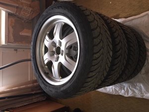 IMG_3711.jpg