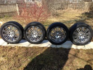 IMG_1172.jpg
