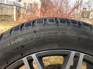 IMG_1173.jpg