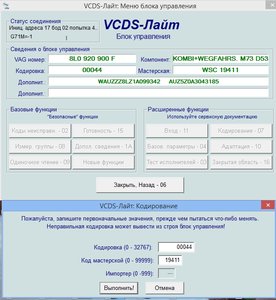 VCDS1.jpg