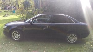 IMAG0050.jpg