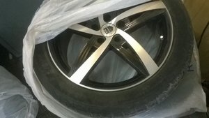 WP_20151024_007.jpg