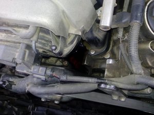 IMG_20151025_130729[1].jpg