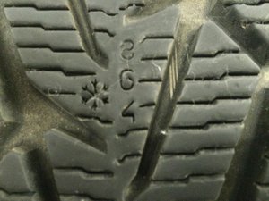 IMG_0104.jpg