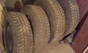 IMAG0231.jpg