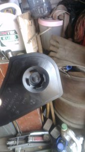 IMAG1156.jpg