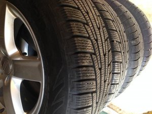 IMG_4724[1].jpg