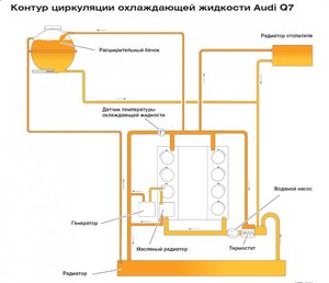 Снимок.jpg