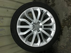 IMG_0732.jpg