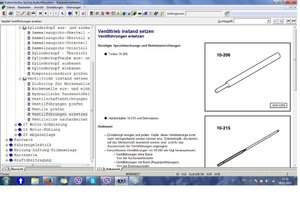 Эльза 3.1.jpg