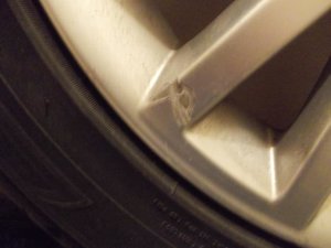 DSCN1123.jpg