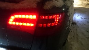 DSC_4431.jpg