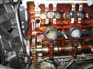 IMG_1910.jpg