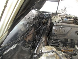 IMG_0644.JPG