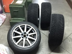 IMG_3481.jpg