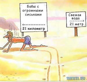 309255abbbf0.jpg