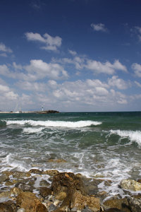 IMG_0459.jpg