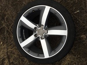 IMG_1484.jpg