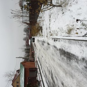 image.jpg