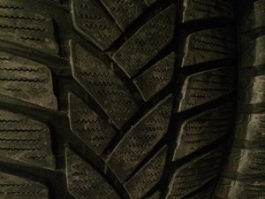 IMG_5524[1].jpg