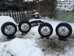 IMG_1268.jpg