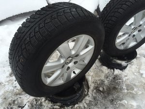 IMG_1269.jpg