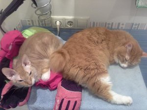 20151119_094305.jpg