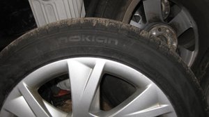 IMG_0991.jpg