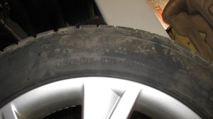 IMG_1002.jpg