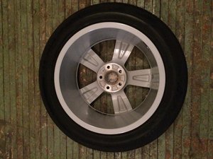 IMG_8112.jpg