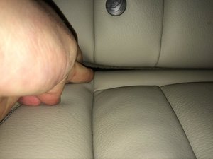 IMG_4098.jpg