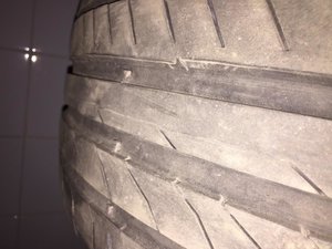 IMG_3252.jpg