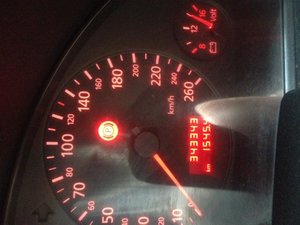 IMG_1731.jpg