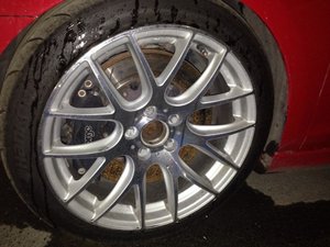 IMG_2867.jpg