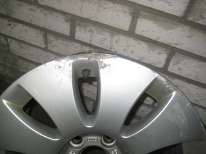 IMG_8733.jpg