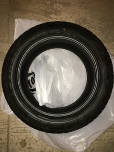 IMG_0100.jpg
