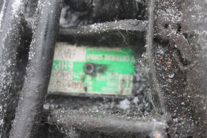 IMG_9318.jpg