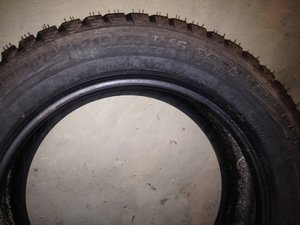 IMG_3567.JPG
