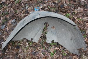 IMG_8821.jpg