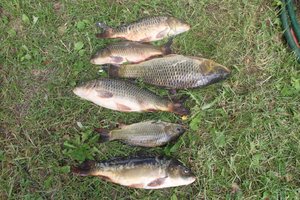 IMG_9082.jpg