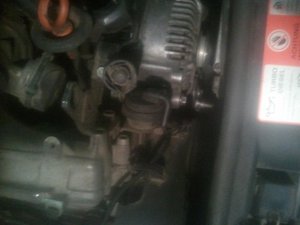 2015-12-17 15.49.03.jpg