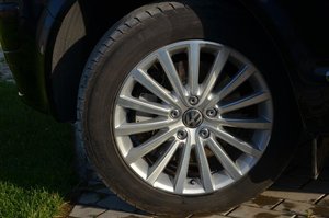 DSC_3460.jpg