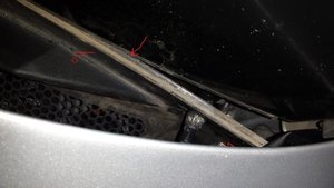 20151228_102218.jpg