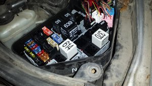 20151227_082202.jpg