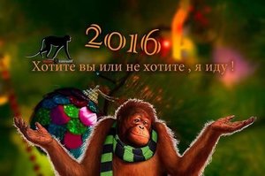 IMG_3715.JPG