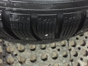 IMG_3105.jpg