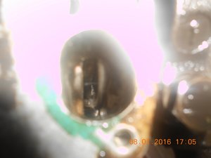 DSCN1588-1.JPG